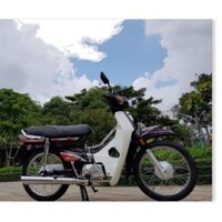 bộ ốc xe DREAM thái / trọn bộ ốc tổng xe -HCM