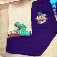 Bộ Old Navy bé trai