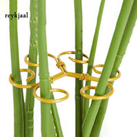 Bộ ổn định thân hoa cho cây trồng trong vườn Bộ ổn định thân cây trồng trong nhà Giá đỡ thực vật có thể điều chỉnh cho cây cảnh Monstera Dễ sử dụng Chân đế hỗ trợ thực vật 3 chiếc Bộ tăng cường tăng trưởng