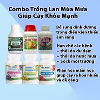 Bộ Phân Bón Trồng Lan Mùa Mưa – 6 chai