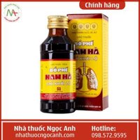 Bổ Phế Nam Hà Chỉ Khái Lộ