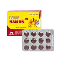 Bổ Phế Nam Hà(Ngậm)/H24V