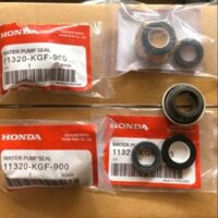 Bộ phốt bơm nước xe Sh Ý/ Dylan/@/ Ps