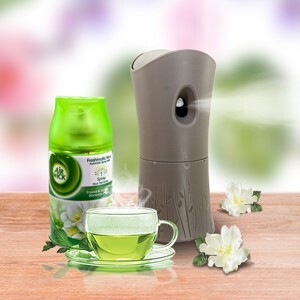 Bộ phun tinh dầu tự động Air Wick Freesia and Jasmine 250ml QT000731 - hương hoa nhài