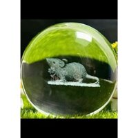 Bộ Quả Cầu Pha Lê 12 Con Giáp + Đế Đèn Led 3D Size 6cm Decor Trang Trí, Đèn Ngủ Sáng Tạo, Cực Kì Đẹp Mắt