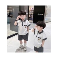 bộ quần áo bé trai, set polo cá sấu tag gấu Beemo, set bộ cá sấu cao cấp co giãn thoáng khí