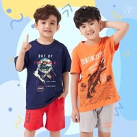 Bộ quần áo bé trai size đại, bộ đồ cho bé cộc tay mùa hè vải cotton hình in đẹp 2-11 tuổi 11kg- 34kg