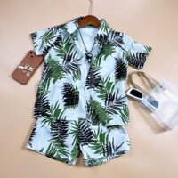 Bộ Quần ÁO Hoa Quả Đi Biển, Nhóm Team Building Chât Đẹp Thoáng Mát Đủ Size Cho Cả Nhà Lynai-clothing