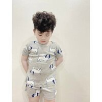 Bộ quần áo mùa hè Mickey, khủng long cho bé