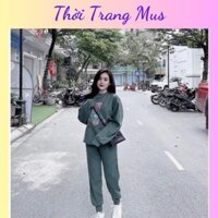Bộ quần áo nỉ nữ hình gấu thêu trước áo, set nỉ thu đông chất dày đẹp Đông 2024 - THỜI TRANG MUS