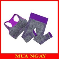 Bộ Quần Áo Tập Gym, Yoga, Aerobic, Thể Thao Nữ