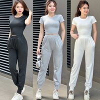 Bộ Quần Áo Thể Thao Nữ Basic Quần Jogger Kèm Áo Croptop Vải Thun Co Dãn 4 Chiều Tập Gym, Yoga