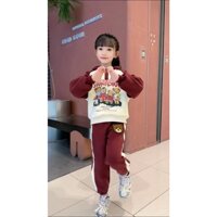 Bộ quần áo thu đông trẻ em 14-48kg có mũ dành cho bé gái mẫu Gấu SYOR BOOK chất nỉ da cá B02