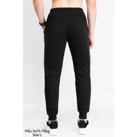 Bộ quần dài thể thao Running, áo thun nam ngắn tay body co giãn + quần jogger nỉ phong cách thể thao, tập gym L2-Run