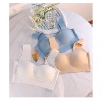 Bộ quần lót áo ngực thể thao chống va đập không có vòng thép