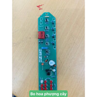 Bo quạt hoa phượng cây