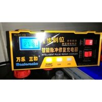 Bộ Sạc Ắc Quy Cao Cấp 12v/24v khử sunfat 200AH