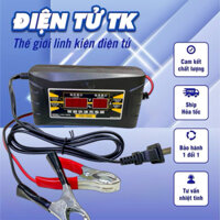 Bộ sạc bình ắc quy thông minh , có màn hình hiển thị  - SUNCHONGLIC FON-1206D