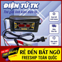 Bộ sạc bình ắc quy uyên bác , có screen hình thành  - SUNCHONGLIC FON-1206D