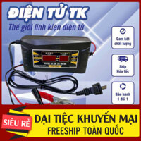 Bộ sạc bình ắc quy uyên bác , có screen chỉ ra rằng  - SUNCHONGLIC FON-1206D