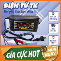 Bộ sạc bình ắc quy uyên thâm , có screen hiện ra xuất hiện  - SUNCHONGLIC FON-1206D