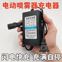 Bộ sạc Bình xịt điện 12V thông minh phổ thông 12V8AH12AH20AH sạc pin ba lỗ