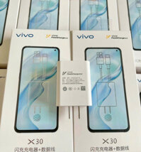 Bộ Sạc Nhanh Vivo X30