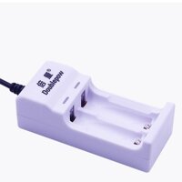 Bộ sạc pin Doublepow dùng sạc 2 viên pin AAAAA cổng USB DP-U21