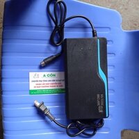 Bộ sạc xe điện 36v chân tròn kim giữa