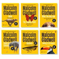 Bộ Sách 6 Cuốn Về Tâm Lý Học Ứng Dụng Của Malcolm Gladwell Tái Bản 2020  Những Kẻ Xuất Chúng - Outliers  Điểm Bùng Phát - The Tipping Point  Trong Chớp Mắt - Blink  Chú Chó Nhìn Thấy Gì - What The Dog Saw  David Và Goliath - David And Goliath  Đọc Vị Người Lạ - Talking To Strangers