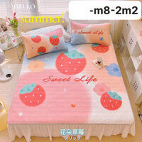 Bộ Sản Phẩm Chiếu Điều Hoà kèm 2 vỏ Gối nằm / Chiếu cao su 5D siêu mát mịn( Chiếu cao su hàng dày đẹp ~2,5kg)
