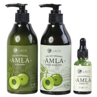 Bộ Sản Phẩm Dầu gội Organic Amla, hỗ trợ ngăn ngừa rụng tóc, phục hồi tóc hư tổn
