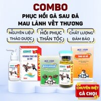 Bộ sản phẩm phục hồi gà sau đá, giúp gà khôi phục chiến lực-GC130