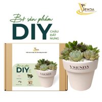 Bộ sản phẩm tự trồng sen đá sáng tạo_Chậu đất nung