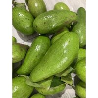 bơ sáp daclak 11kg