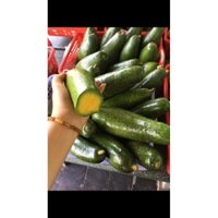 Bơ sáp dưa leo nhà trồng 1-2 trái 1kg