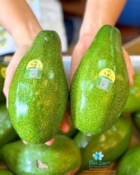 Bơ Sáp Mã Dưỡng Hữu Cơ VNXK – Kg