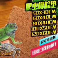 Bò Sát Rùa Nhân Tạo Hộp Gỗ Hộp Cao Màu Xanh Lá Cây Iguana Thảm Đổi Màu Đáy Mồi Thằn Lằn Thú Cưng Dừa Lòng Bàn Tay Thảm Chăn Ga Gối