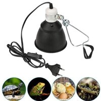 Bò Sát UVA UVB Đèn Giá Đỡ Rùa UVB Sưởi Bóng Đèn Giá Đỡ Có Kẹp Ngọn Hải Đăng Cho Rùa Thổ Cẩm Gà Basking