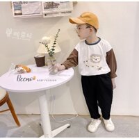 Bộ set quần áo dài tay Beemo vải cotton thêu hình sử tử, khung long cho bé trai,bé gái từ 1 đến 7 tuổi 22219BB