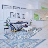 Bộ Sofa Cổ Điển Cao Cấp AMA-MS906