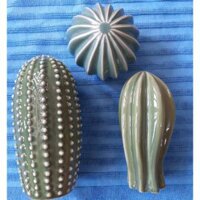 Bộ sứ xương rồng trang trí IKEA