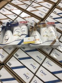 Bộ sữa tắm dầu gội xả phục hồi hư tổn Dove Moisture Care