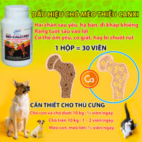 Bổ Sung Canxi Và Phốt Pho Cho Chó Mèo