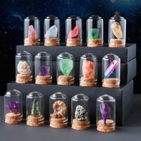 Bộ Sưu Tầm Đá Quý Và Khoáng Sản - Hộp 25 Mẫu Vật (Rocks and Minerals Collection)