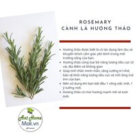 Bộ sưu tập các loại xô thơm thanh tẩy nhà cửa Palo santowhite sageblue sagejuniperCedar sage... - 20gr lá Hương thảo