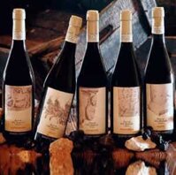 Bộ sưu tập vang Amarone Espressioni Collection gồm 5 loại của hãng Domini Veneti bộ sản phẩm quà tặng