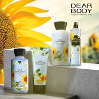 Bộ Sưu Tập Wild Sunflower DEAR BODY