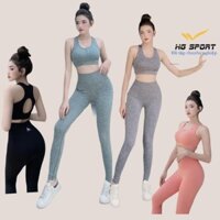 Bộ Tập Gym Nữ, Đồ Tập Yoga, Thể Thao chất dệt kim, Quần Dài, Áo Bra Cao Cấp có sẵn lót SD09 Đẹp *