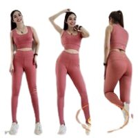 Bộ tập Gym nữ, quần áo tập Yoga aerobic